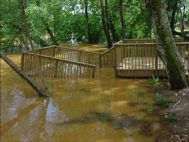 Flood Waters